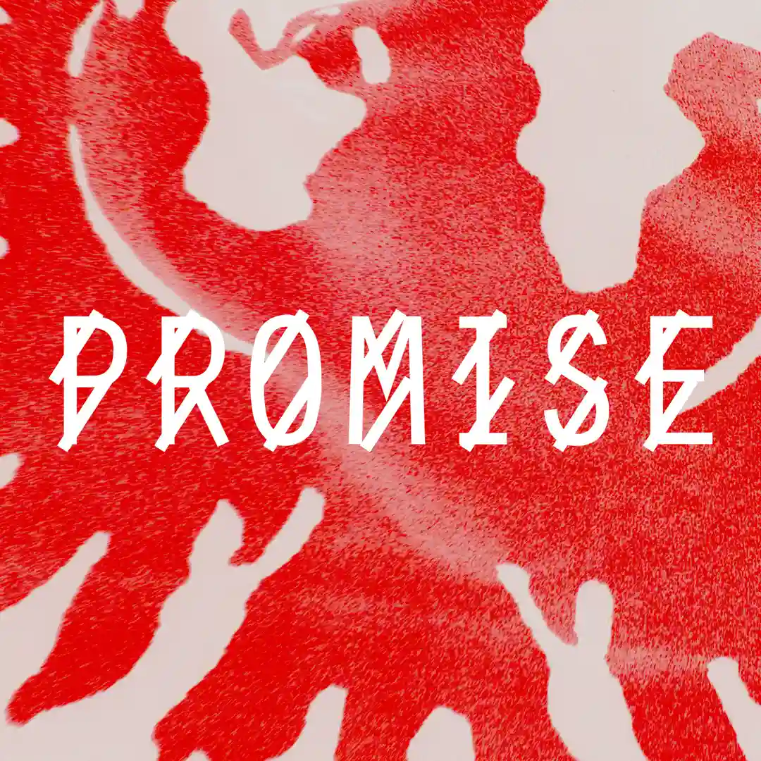 Promise (Original Mix) cover