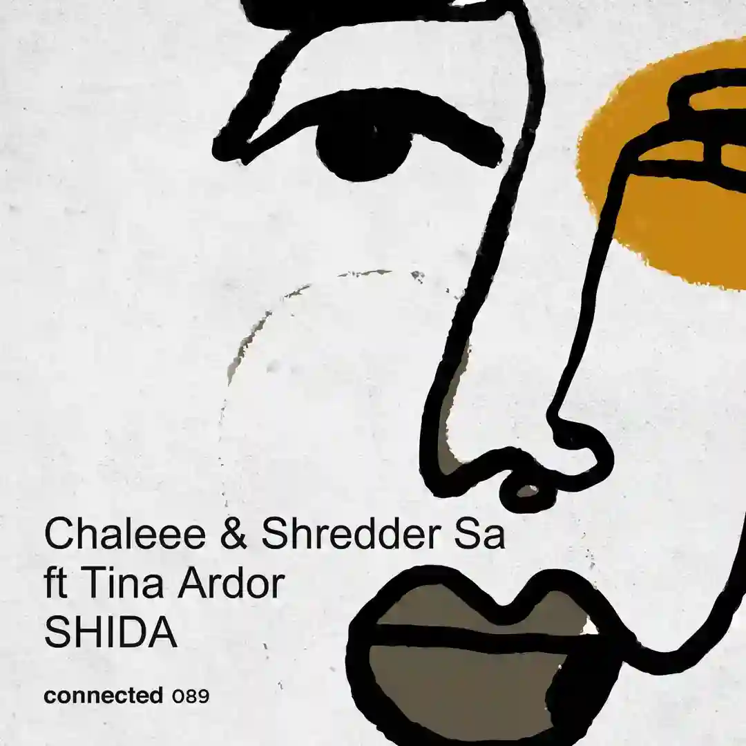 Shida feat. Tina Ardor cover