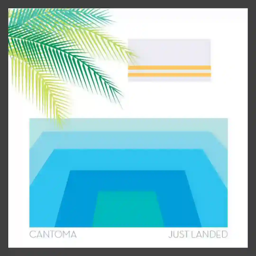 Just Landed LP cover
