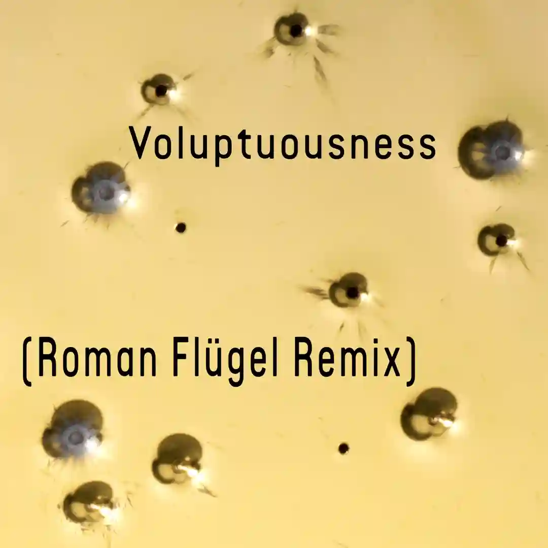 Voluptuousness (Roman Flügel Remix) cover