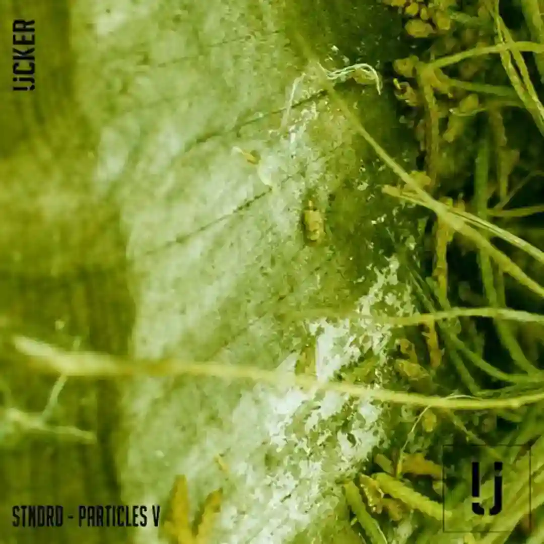 Ossified Mantras cover