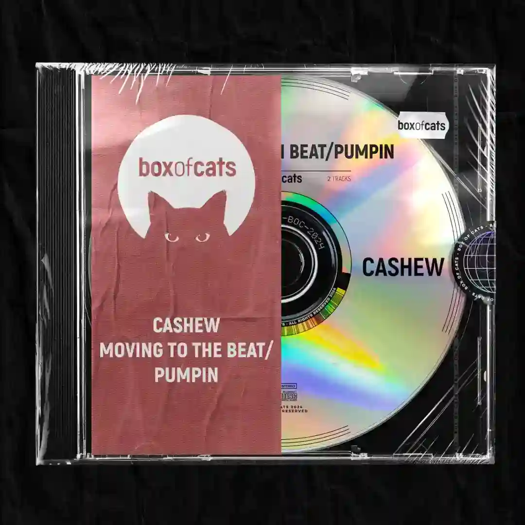 Pumpin' (Extended Mix) cover