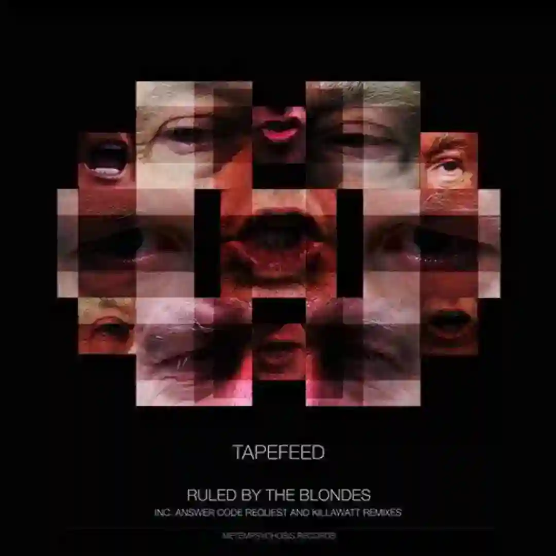 Ruled by the Blondes cover