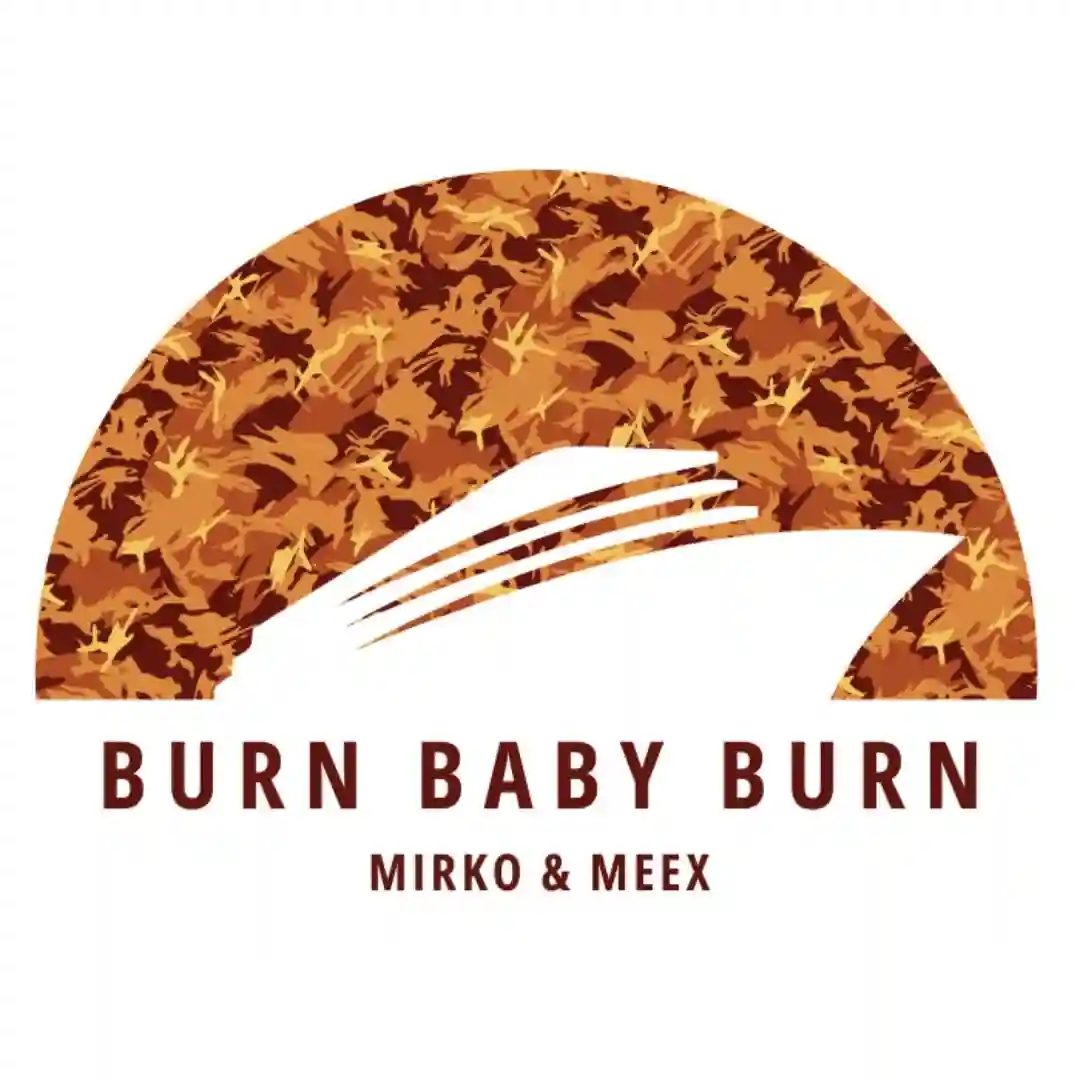 Burn Baby Burn cover