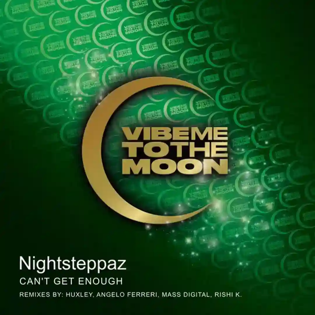 Can't Get Enough (Rishi K. Remix) cover