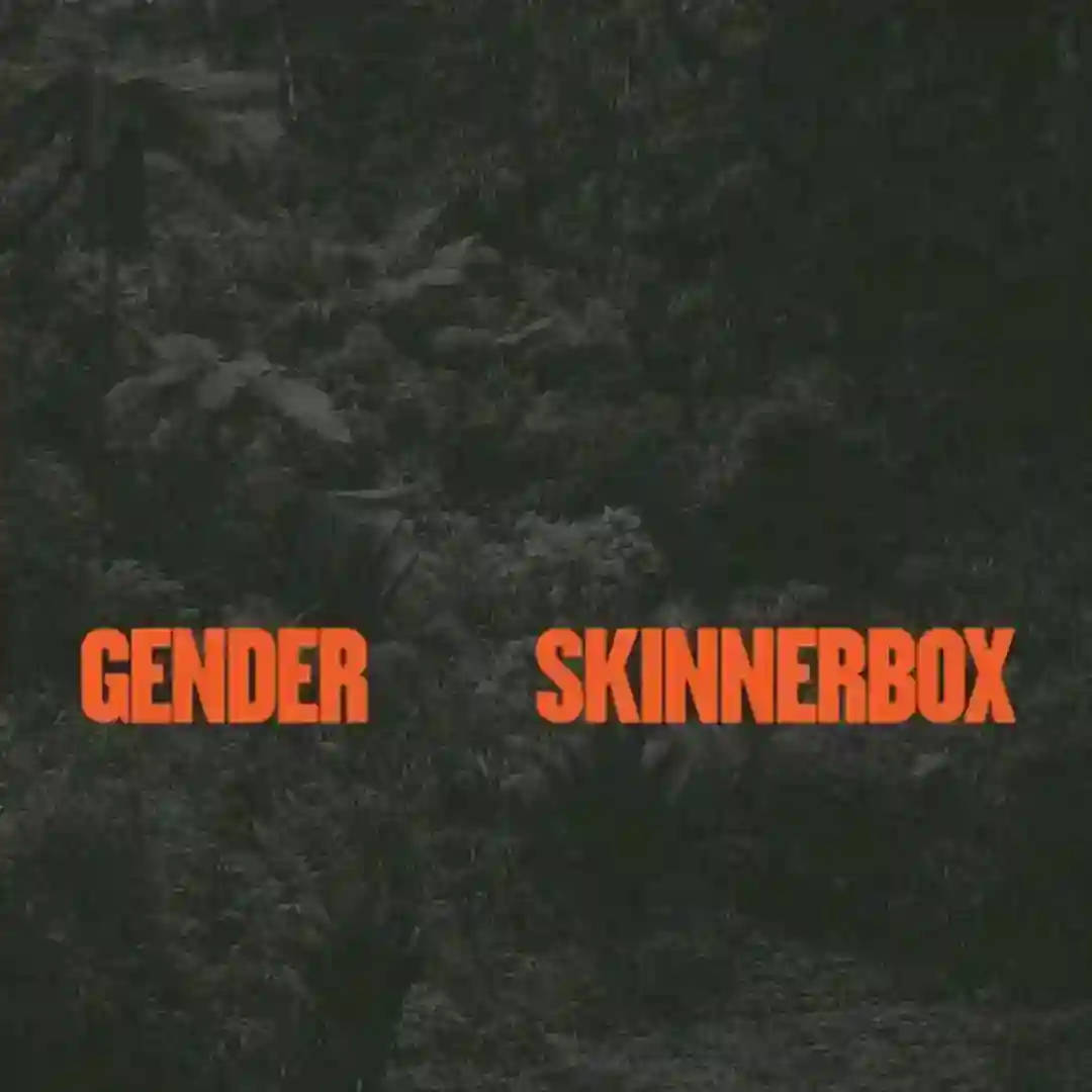 Gender (Axel Boman Remix) cover