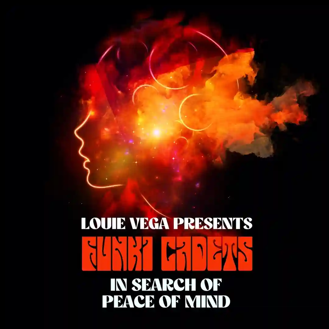 In Search of Peace of Mind cover