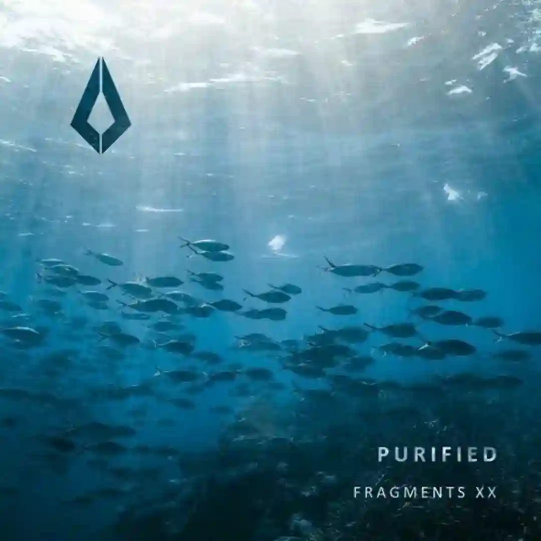 Paradigm (Extended Mix) cover