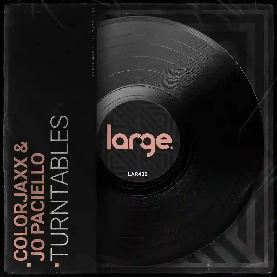 Turntables cover