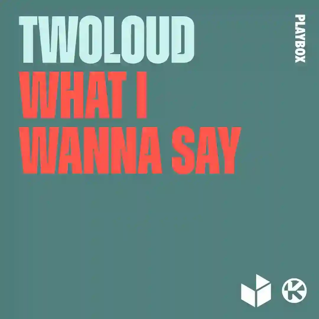 What I Wanna Say (Extended Mix) cover