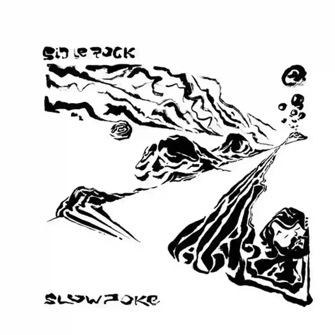 Slowpoke cover