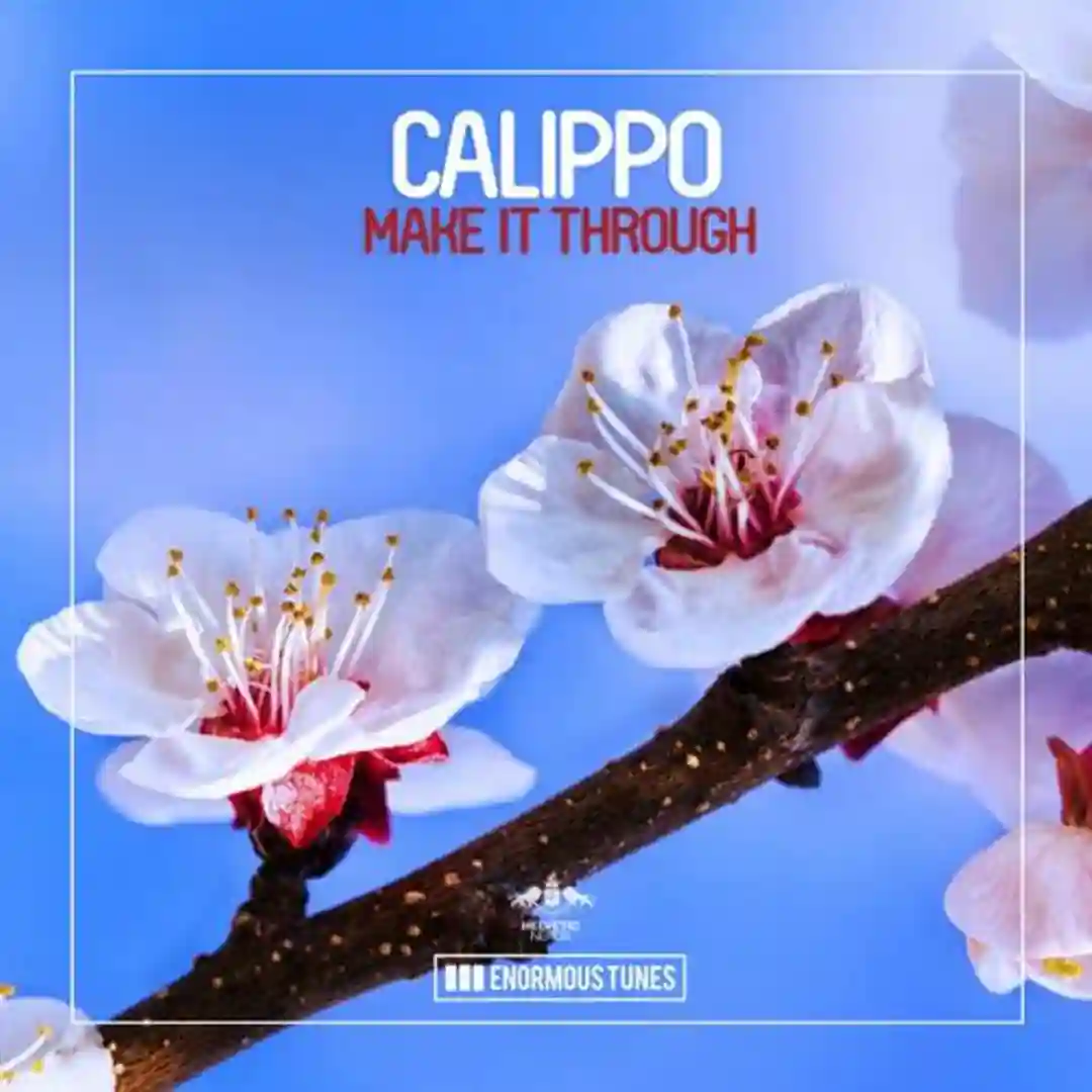 Make It Through (Original Mix) cover