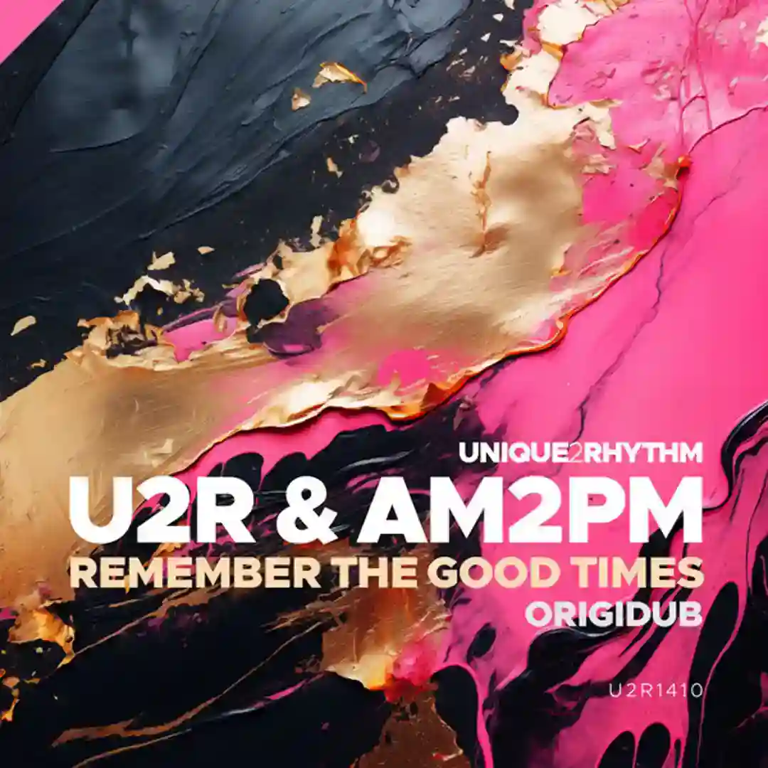 Remember The Good Times (OrigiDub) cover
