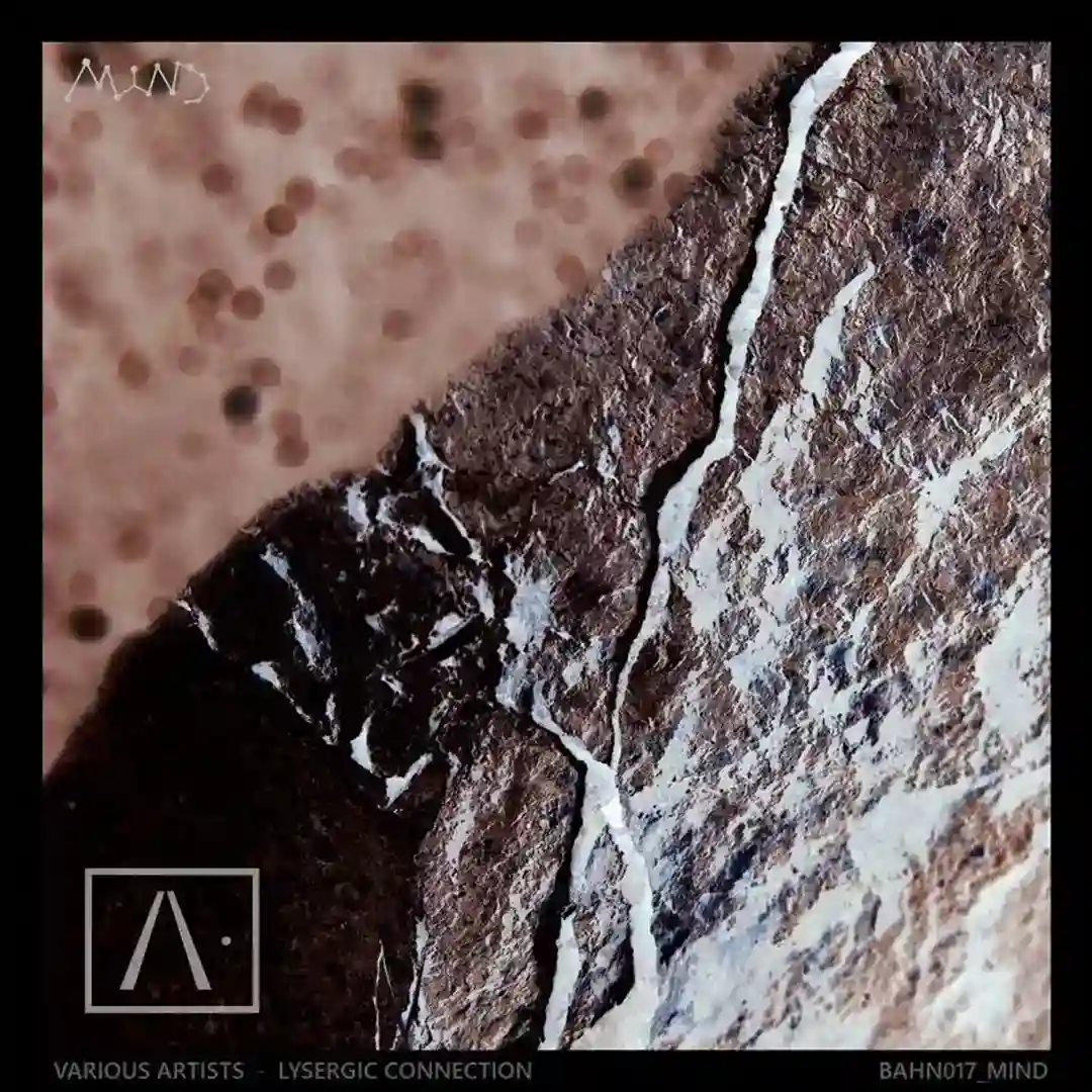 Lysergic Connection cover