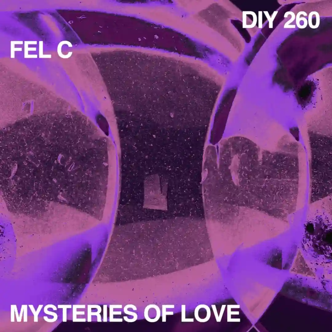 Mysteries Of Love (Instrumental) cover