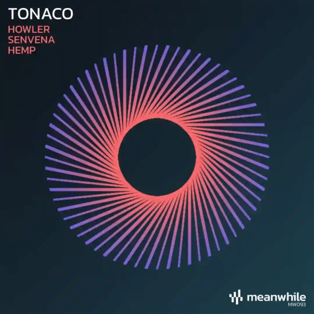 Howler (Original Mix) cover