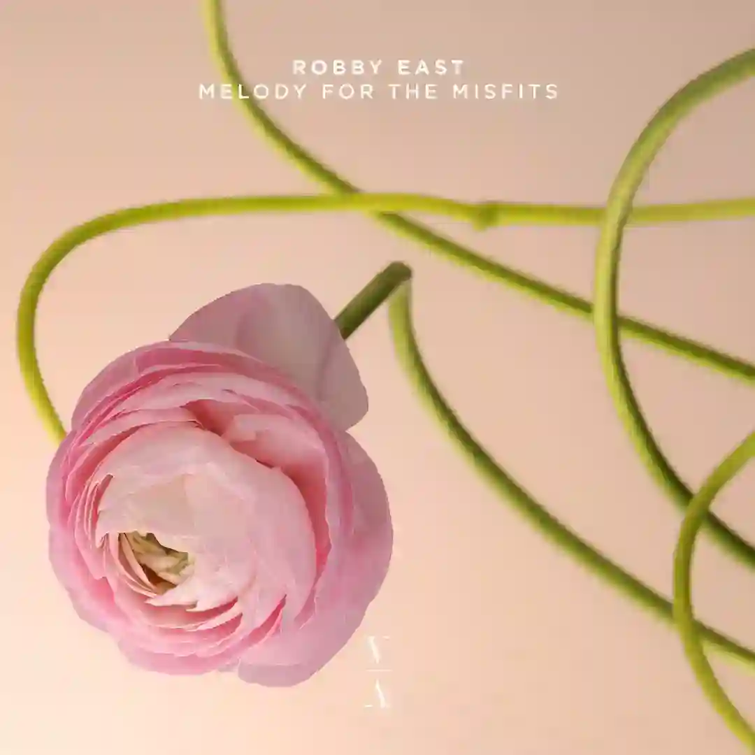 Melody For The Misfits (Extended Mix) cover