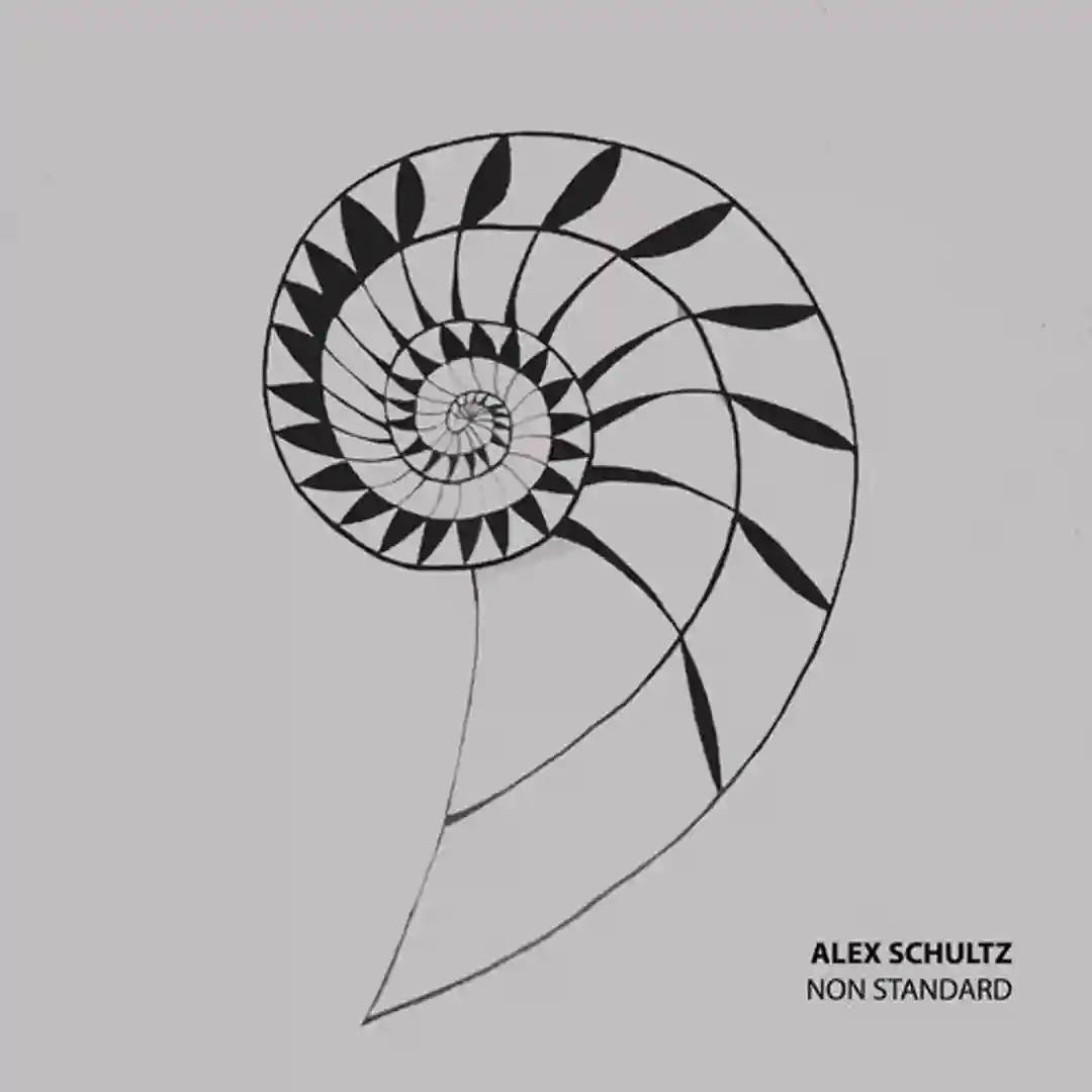 Non Standard (Original mix) cover