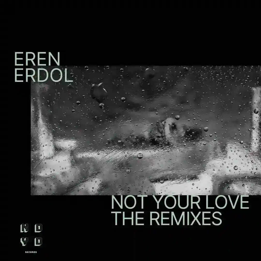 Not Your Love cover