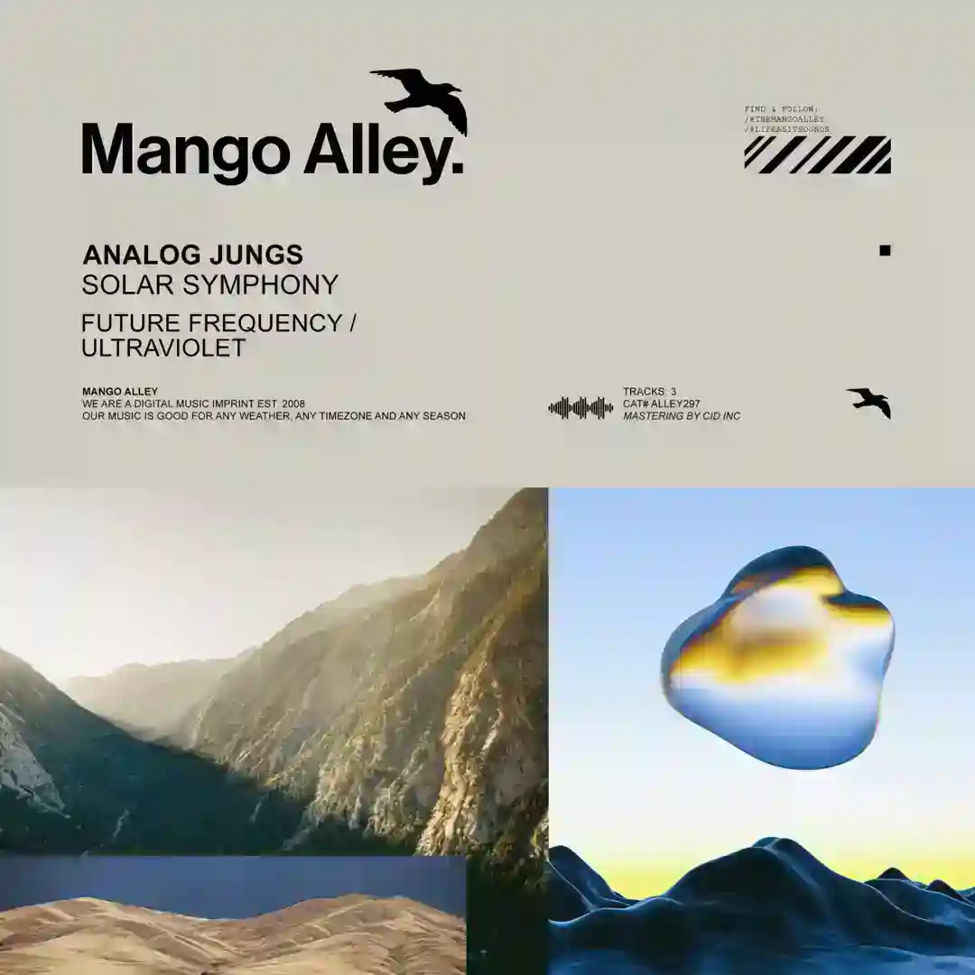 Future Frequency (Original Mix) cover