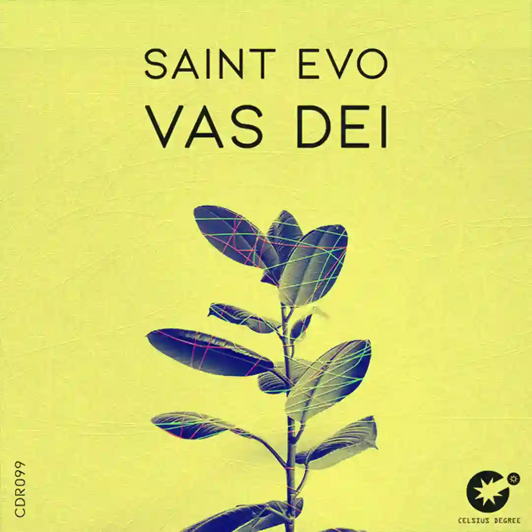 Vas Dei (Original Mix) cover