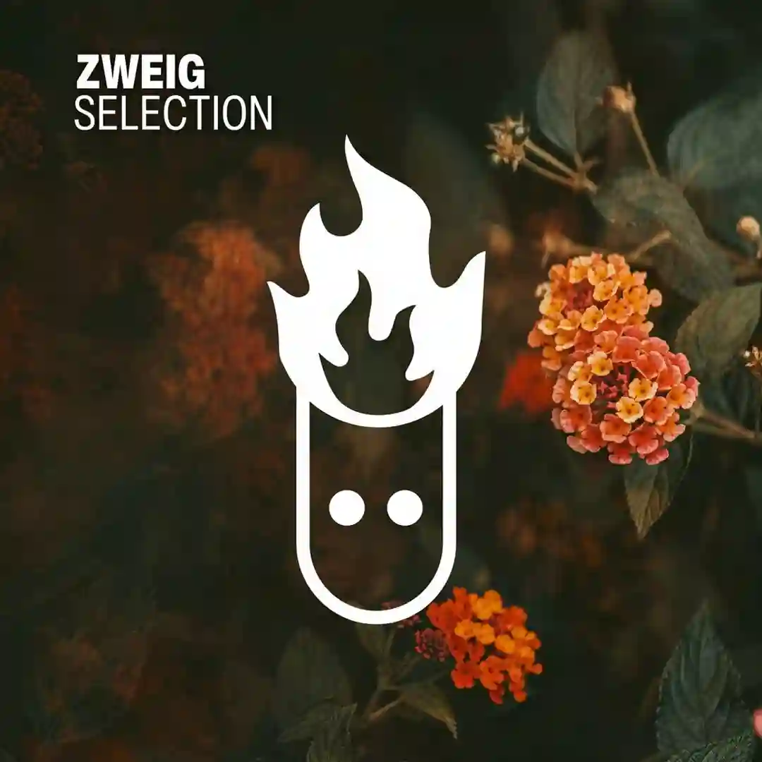 Lions Heart (Original Mix) cover