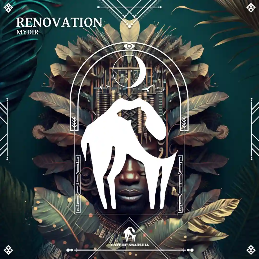 Renovation (Original Mix) cover