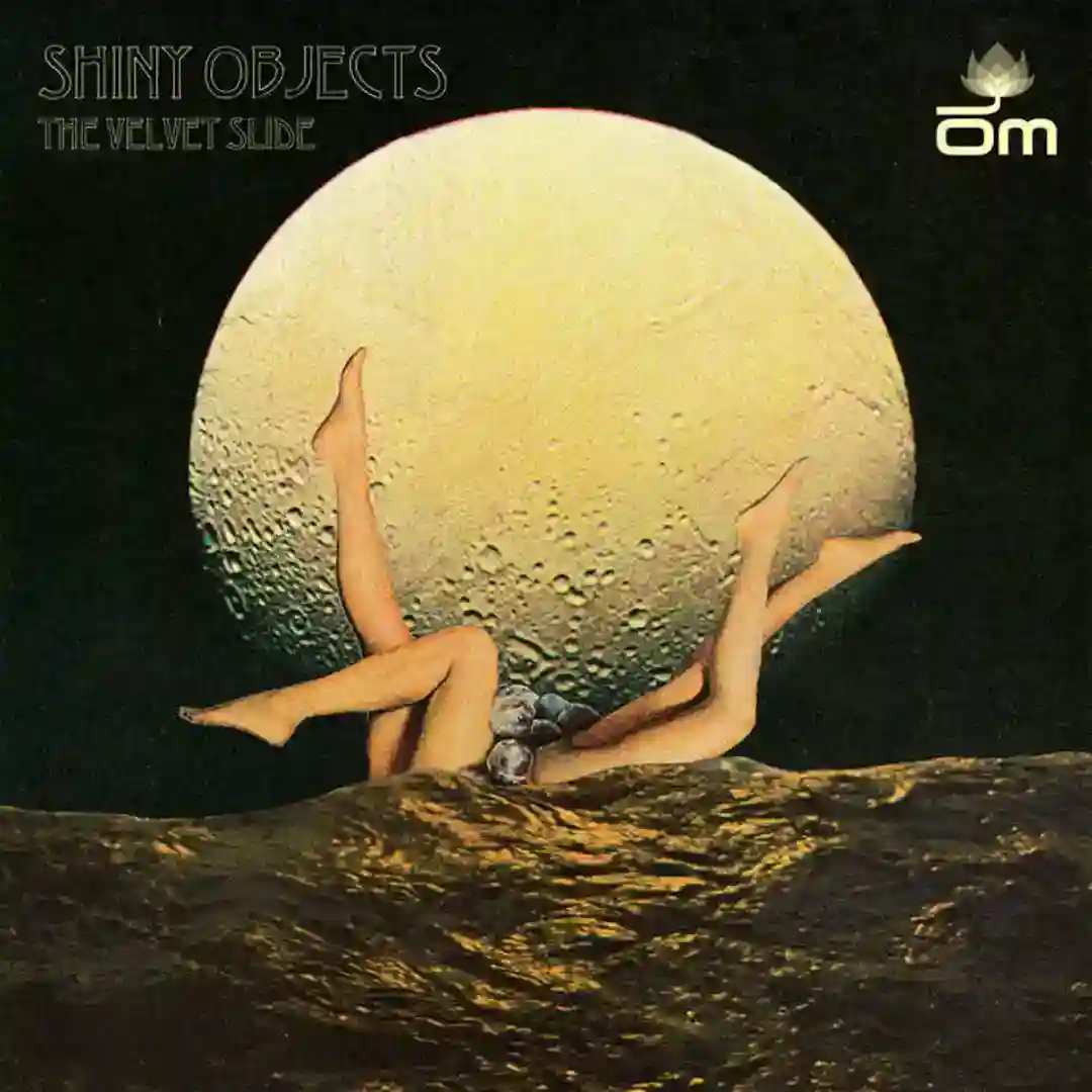 The Velvet Slide cover