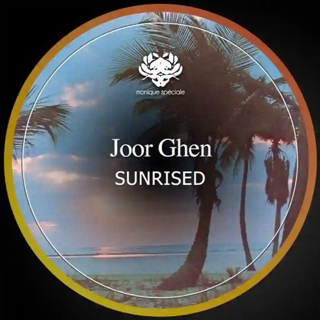 The Glitched Song cover