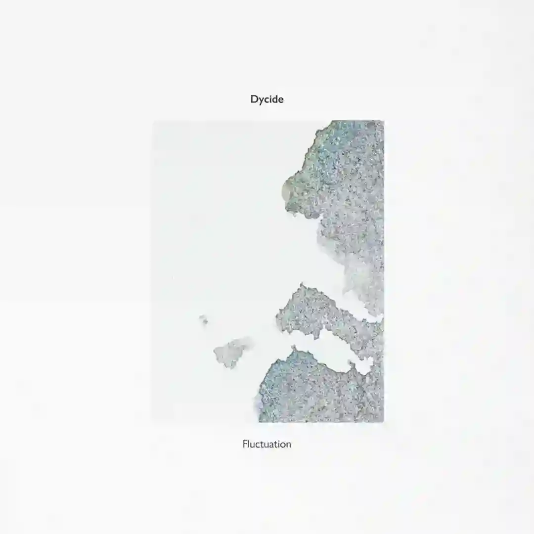 Fluctuation (Claudio PRC Remix) cover