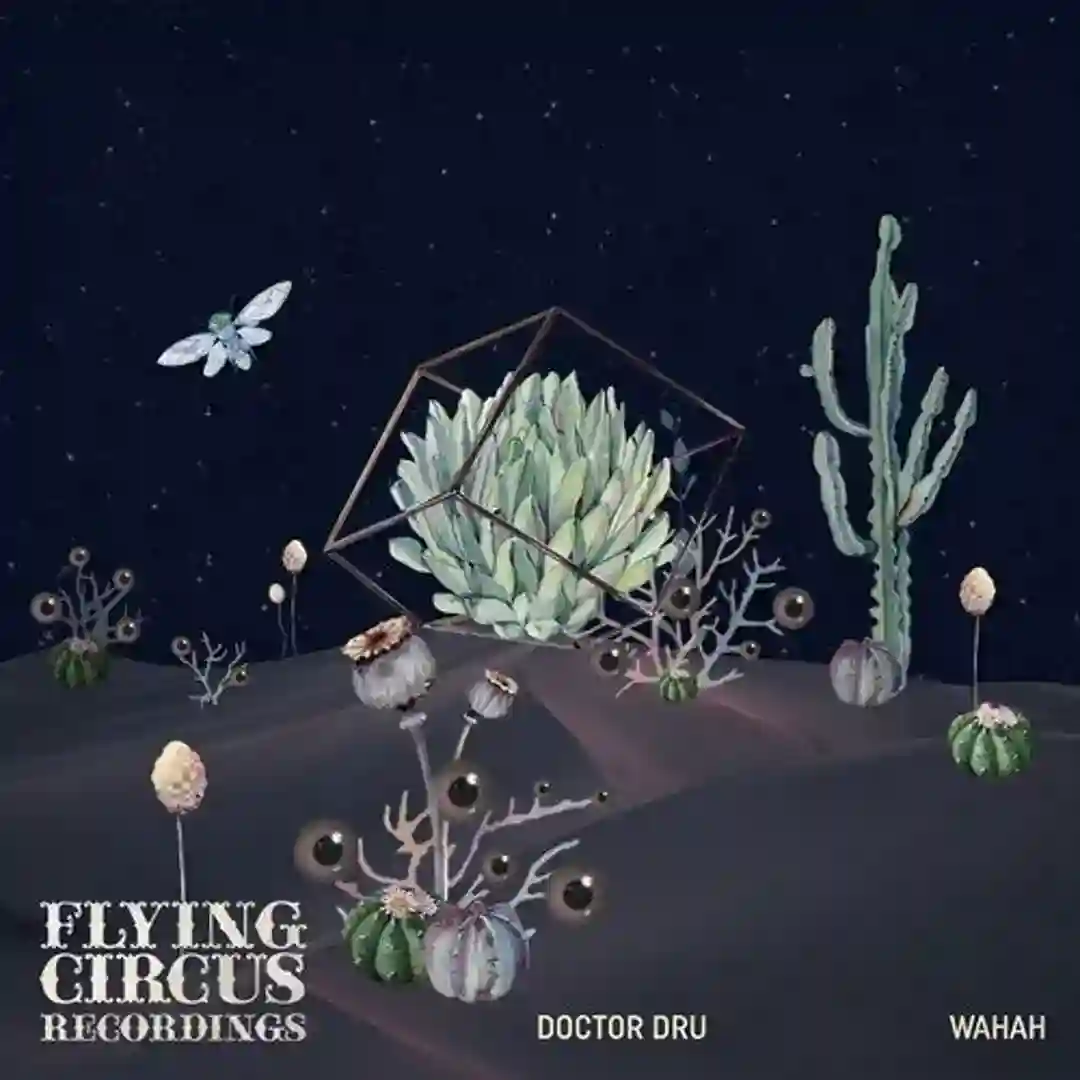 Wahah EP cover