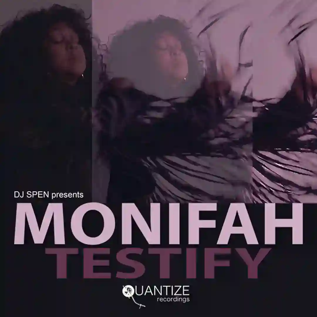 Testify (LAAT's Testify Remix) cover