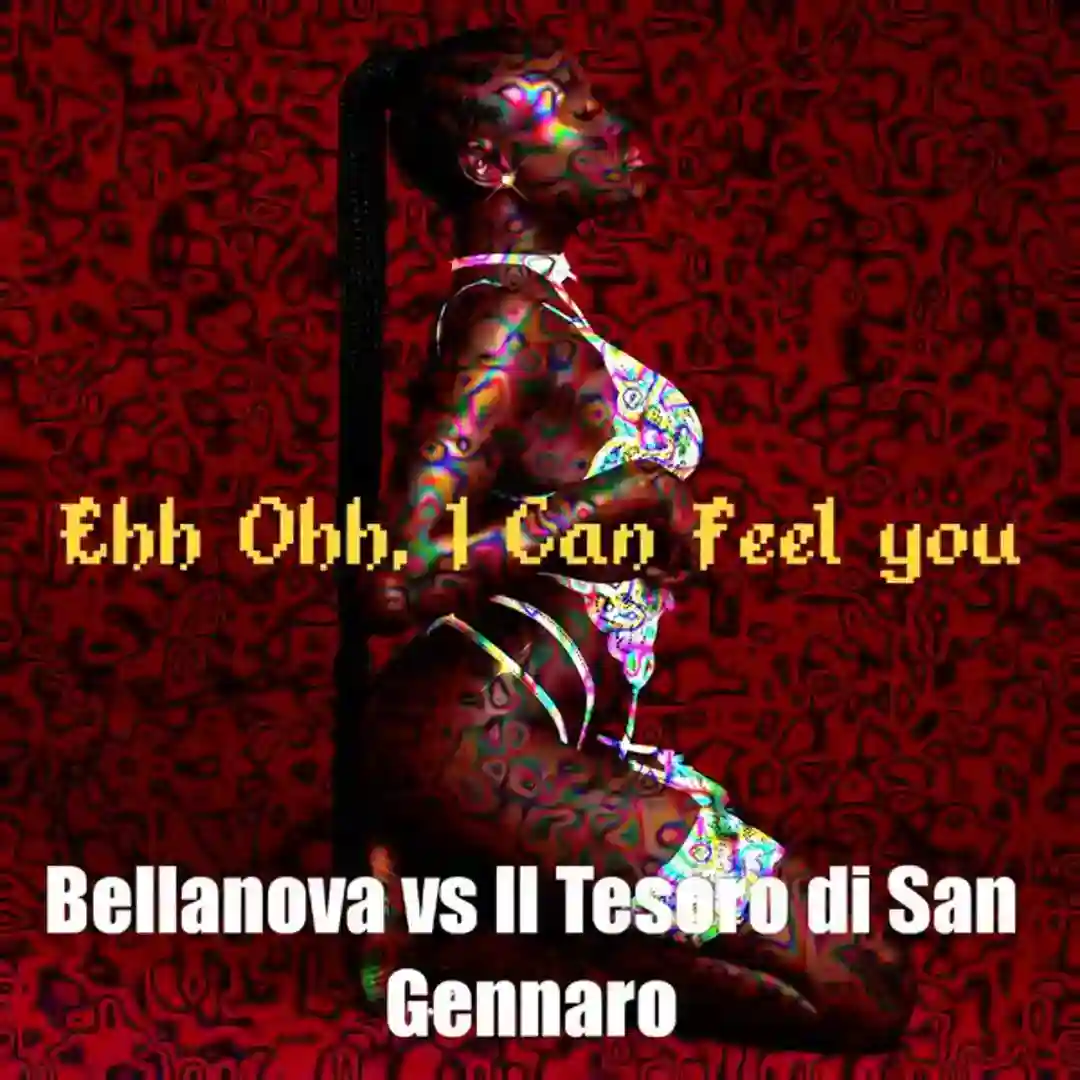 Ehh Ohh, I Can Feel You (Hinca Vanity Remix) cover
