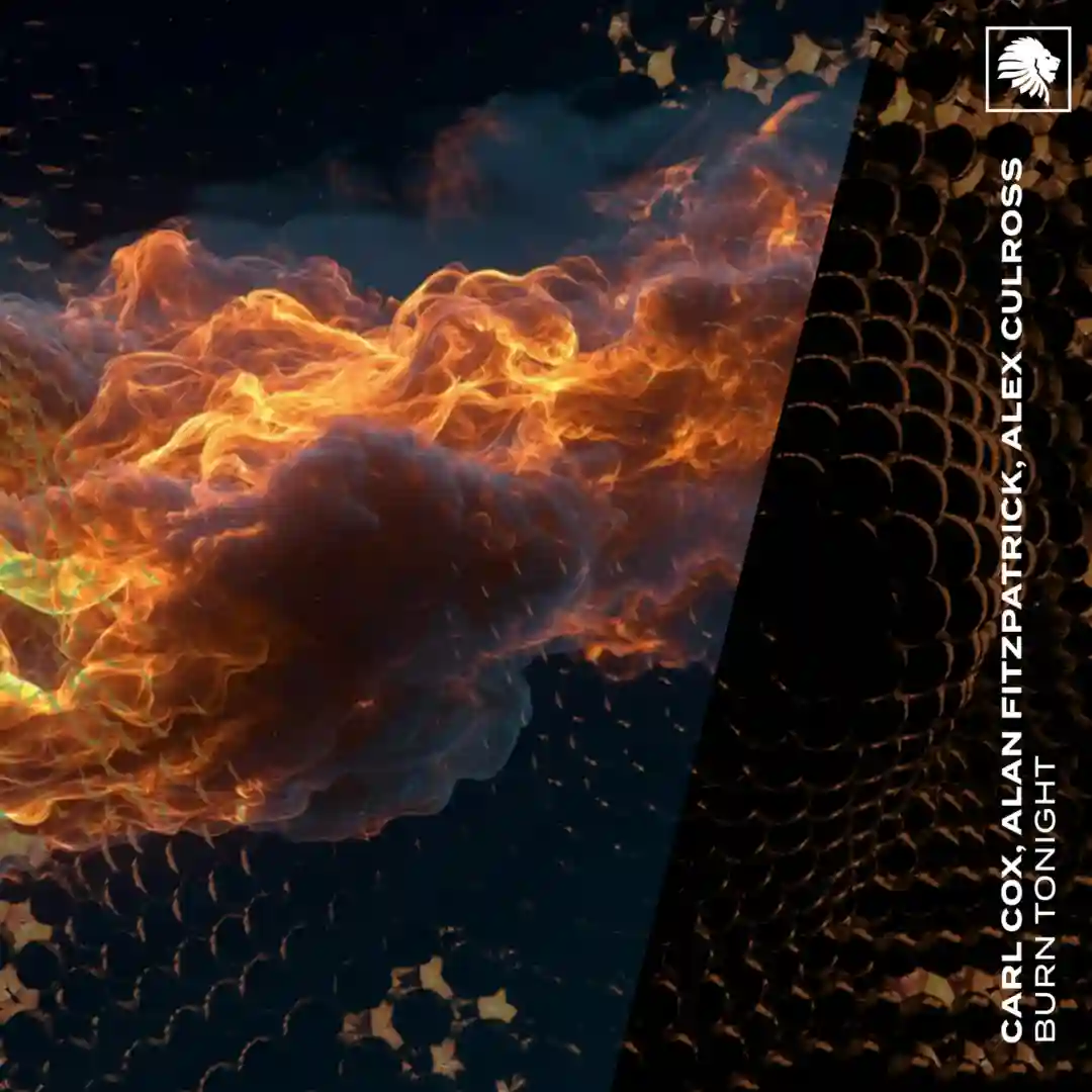 Burn Tonight (Extended Mix) cover