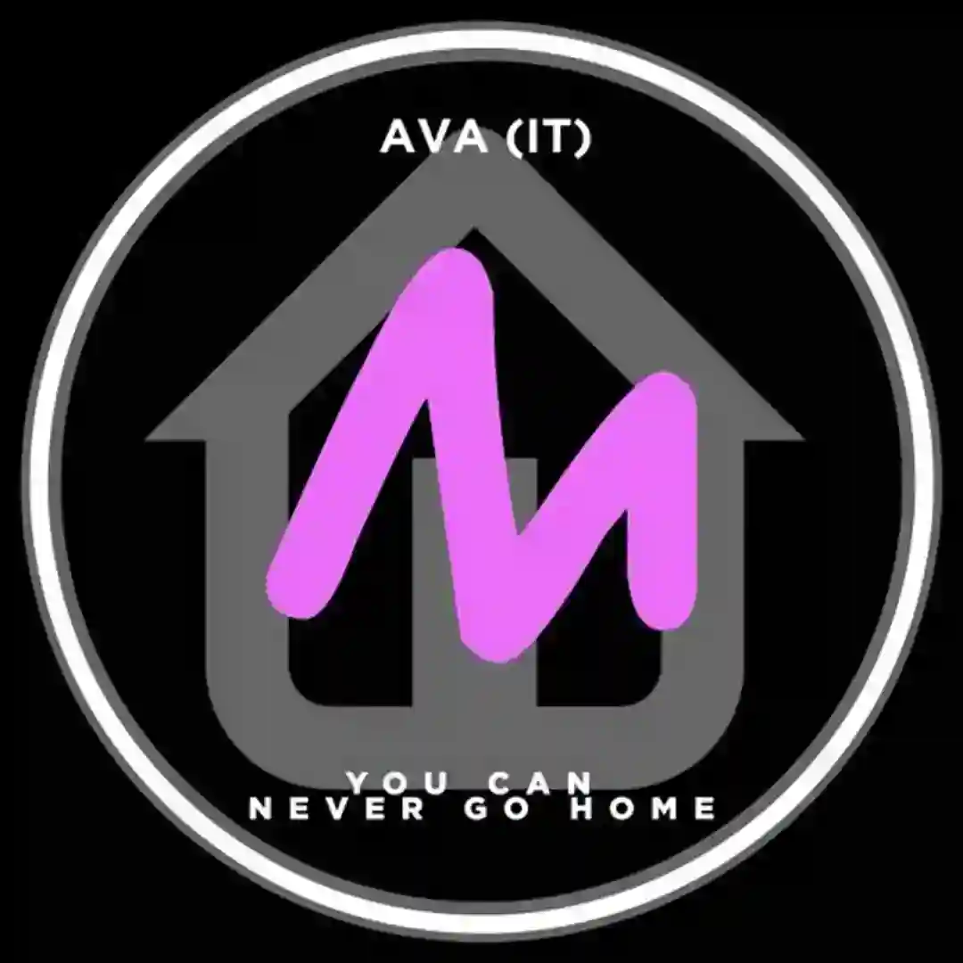 You Can Never Go Home cover