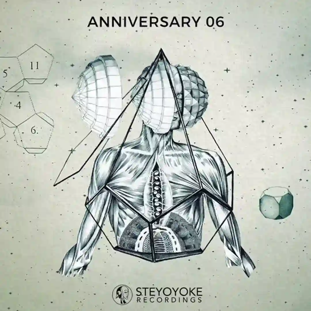 Steyoyoke Anniversary, Vol. 6 cover