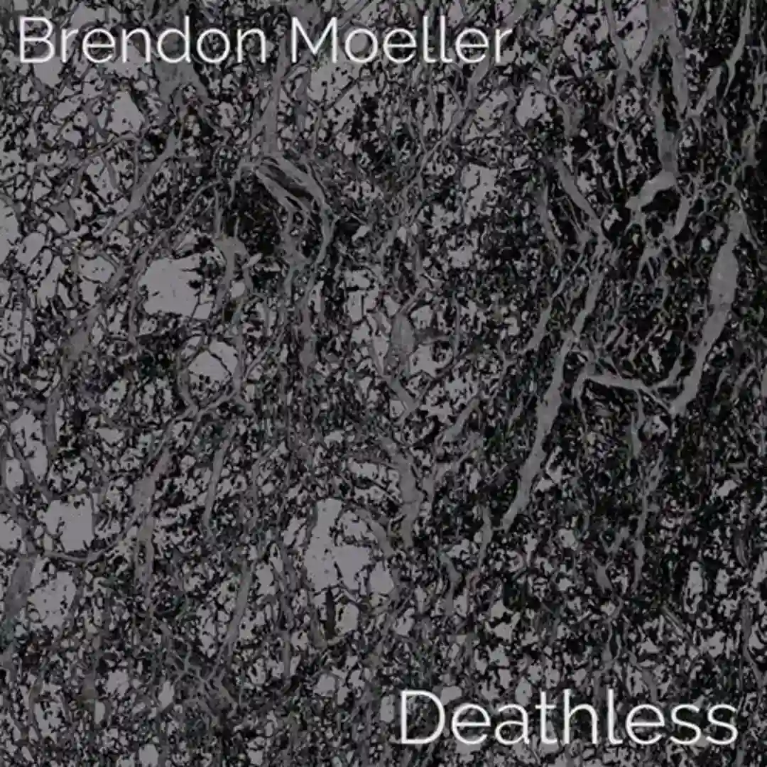 Hypocrite (Original Mix) cover
