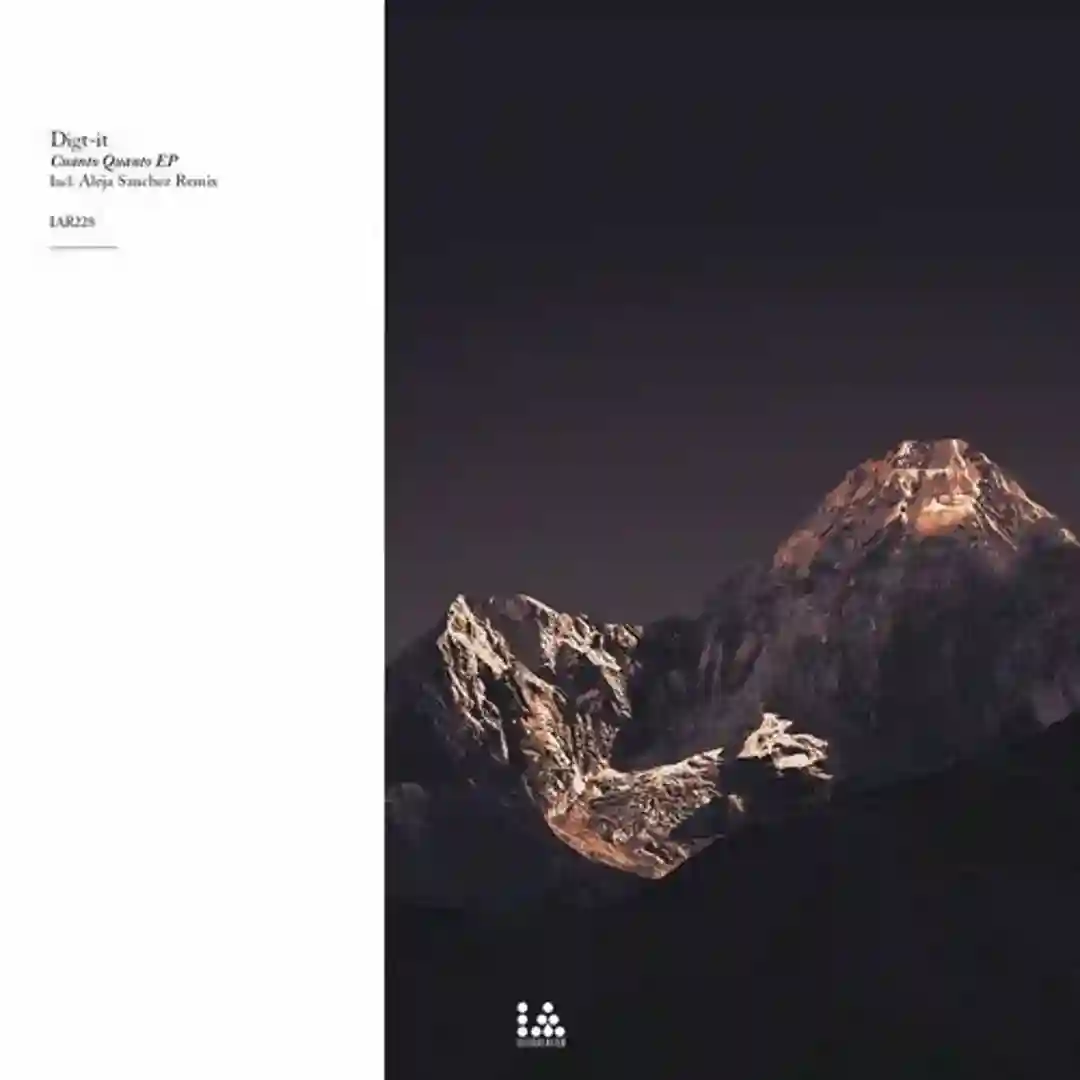 Boson de Gauge (Aleja Sanchez Remix) cover
