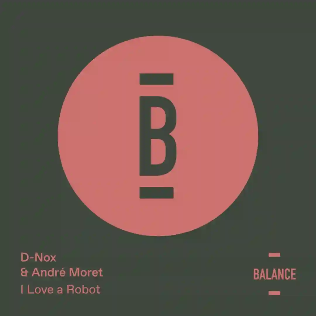 I Love a Robot cover