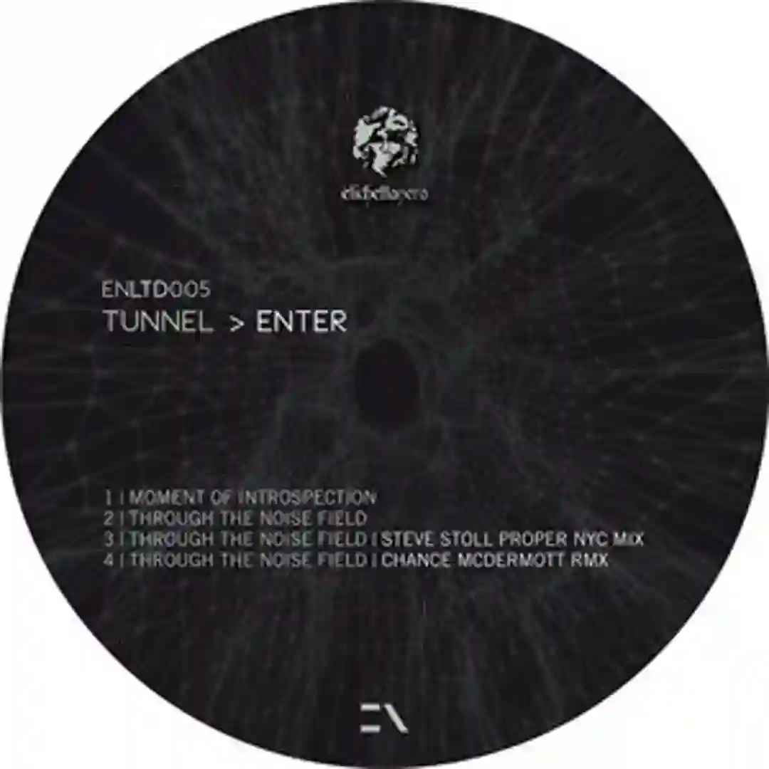 Through The Noise Field (Steve Stoll Proper NYC mix) cover