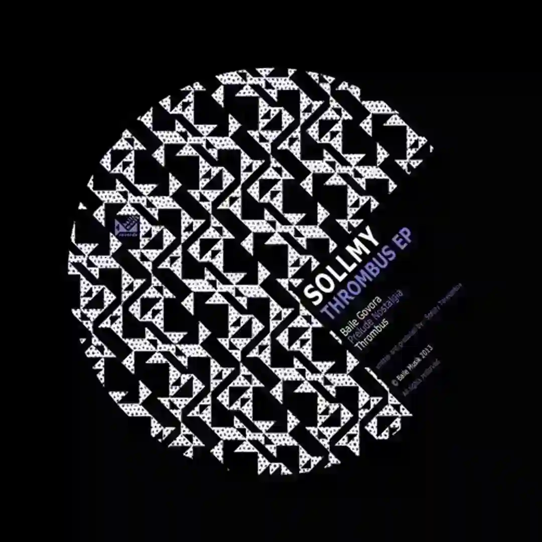 Baile Govora (Original Mix) cover