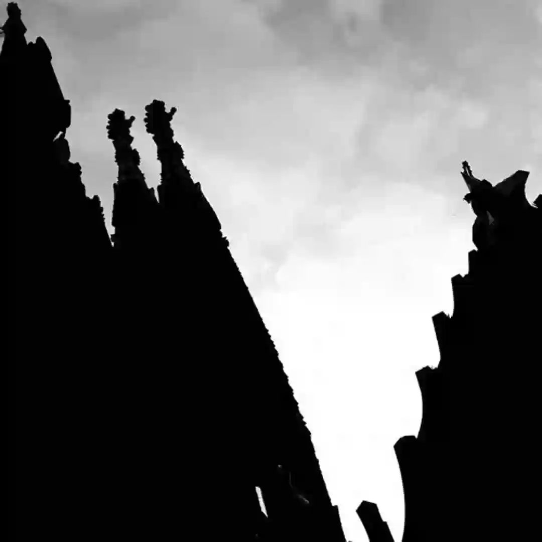 Shadows (Original Mix) cover