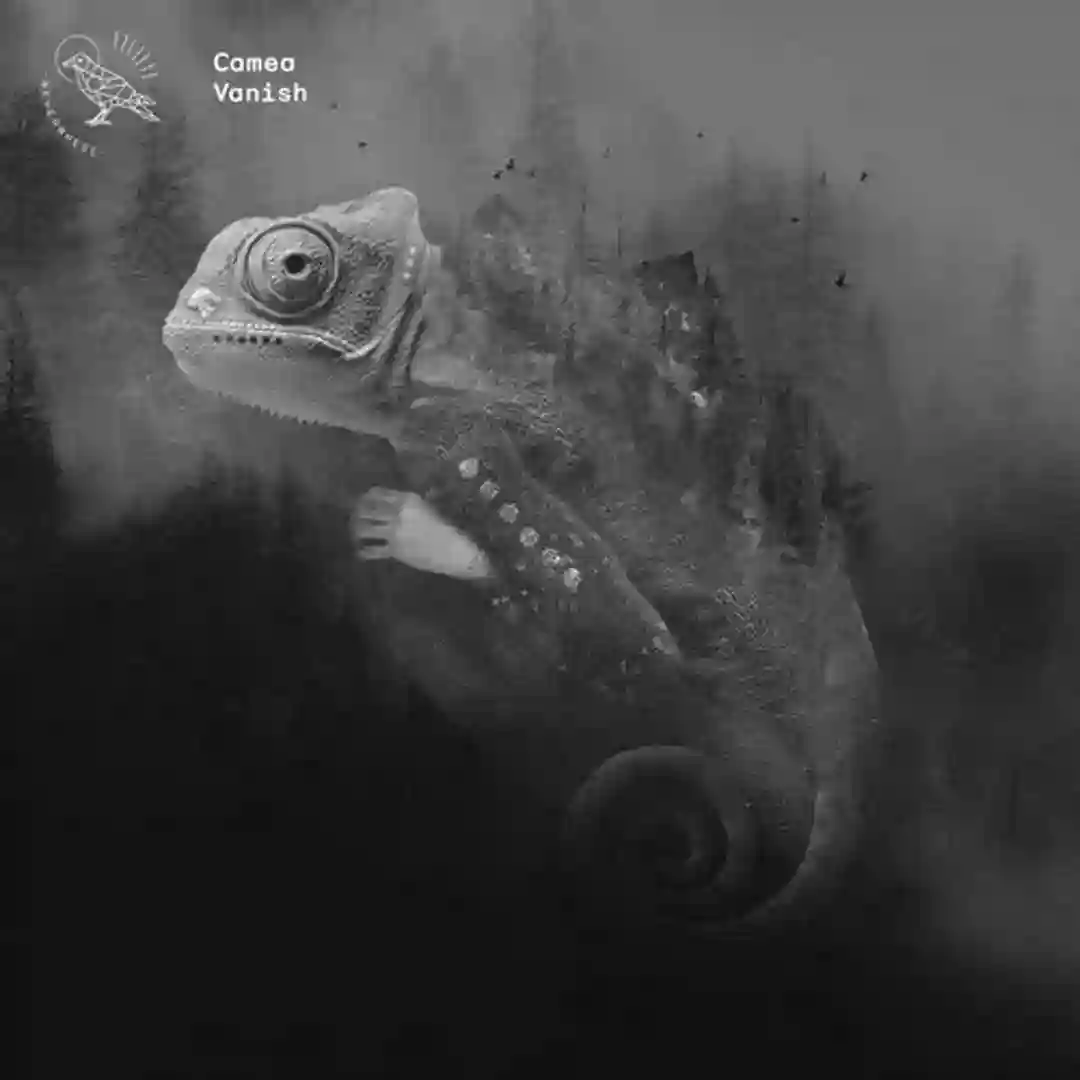 Vanish (LA-4A Remix) cover