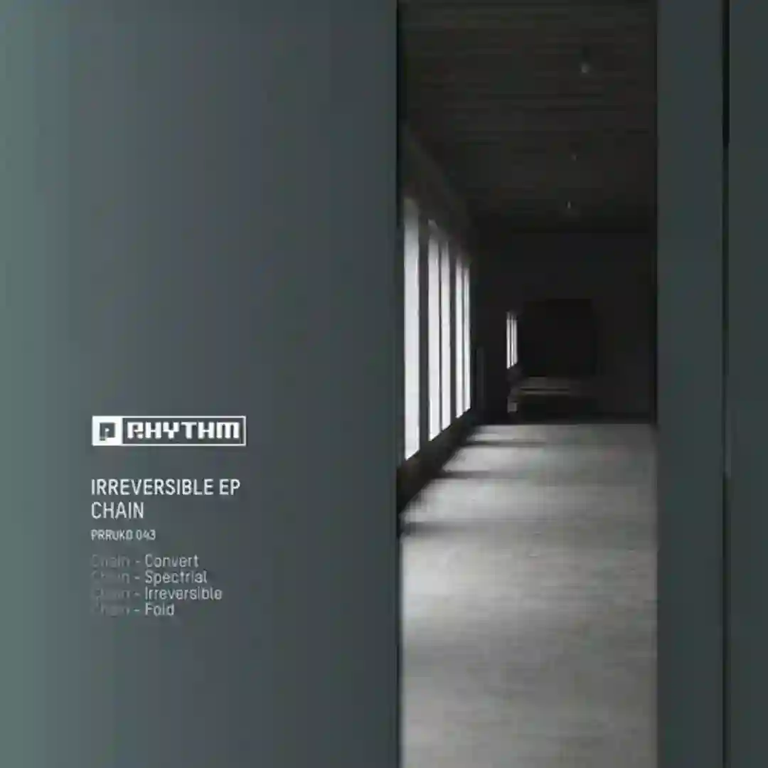 Irreversible (Original Mix) cover