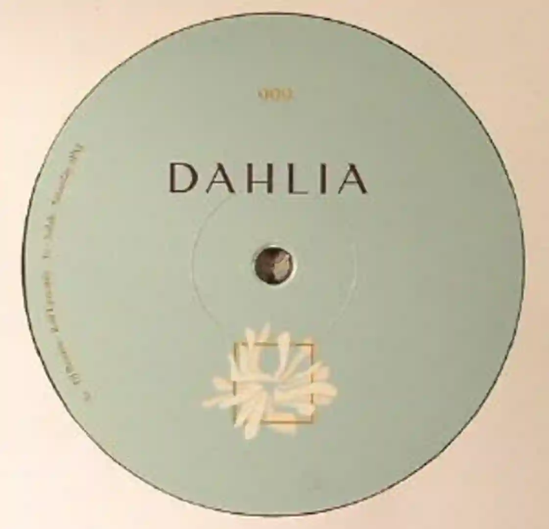 DAHLIA 999 cover