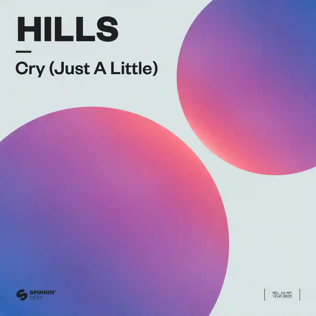 Cry (Just A Little) (Extended Mix) cover