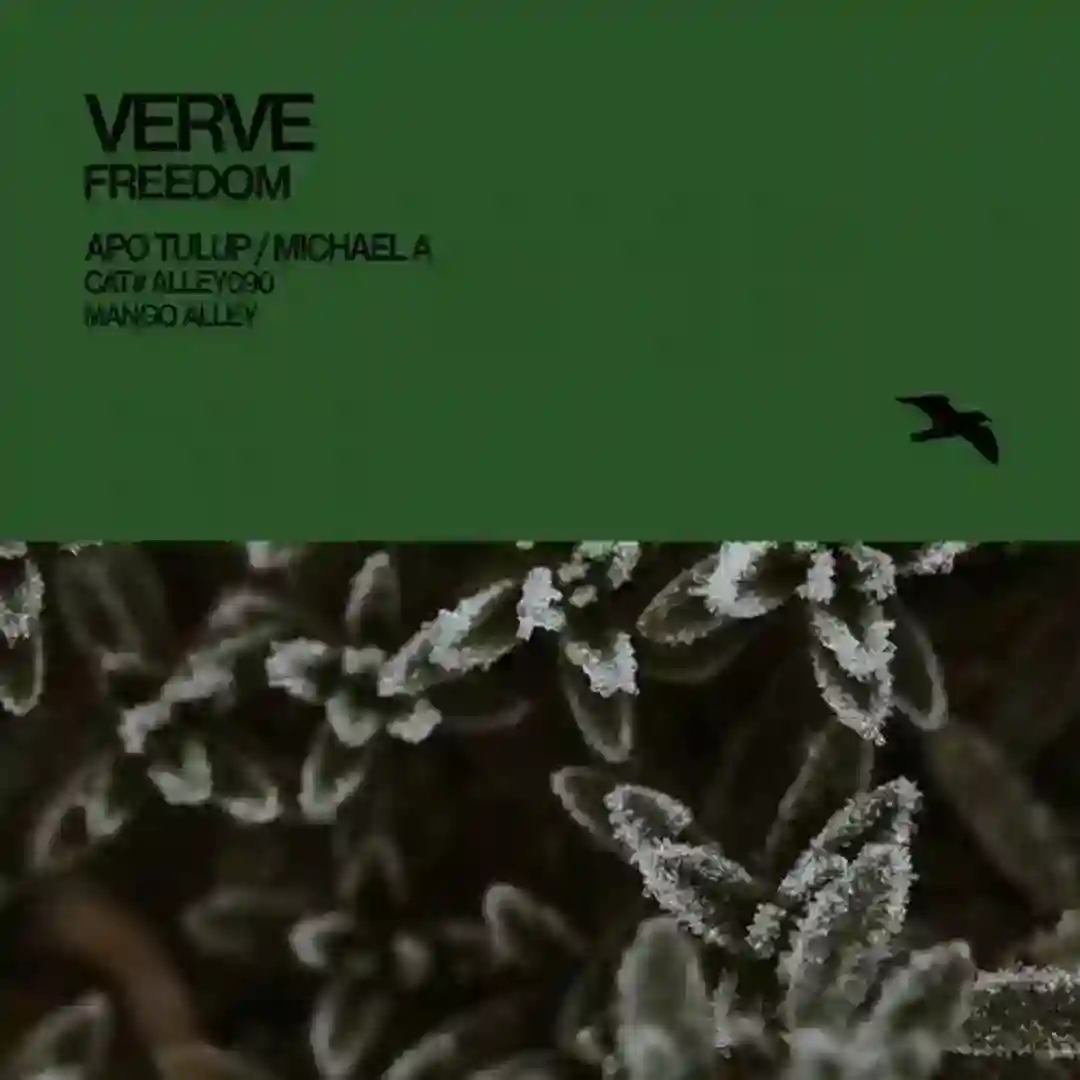 Freedom (Original Mix) cover