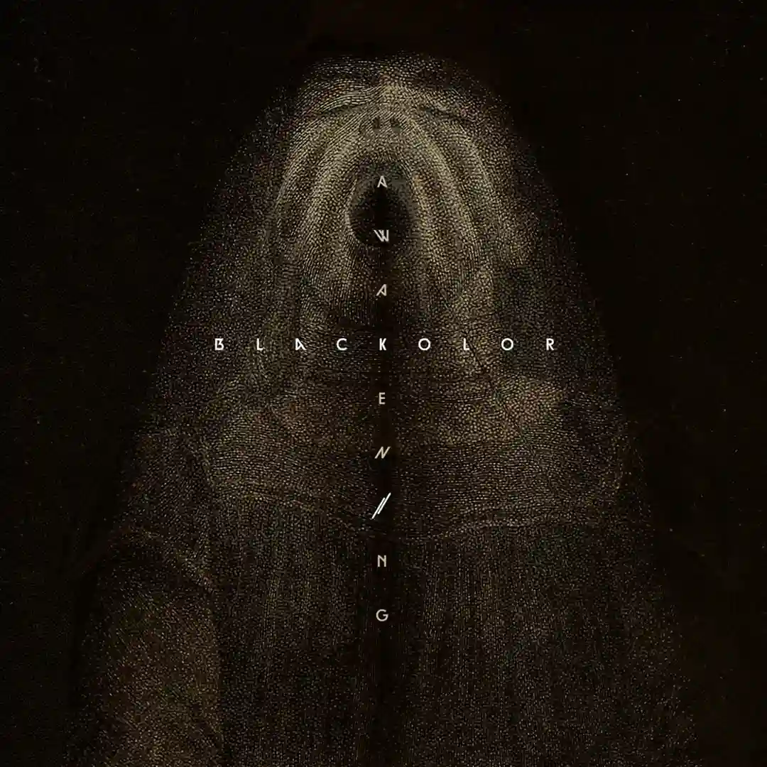 In Blac (Original Mix) cover