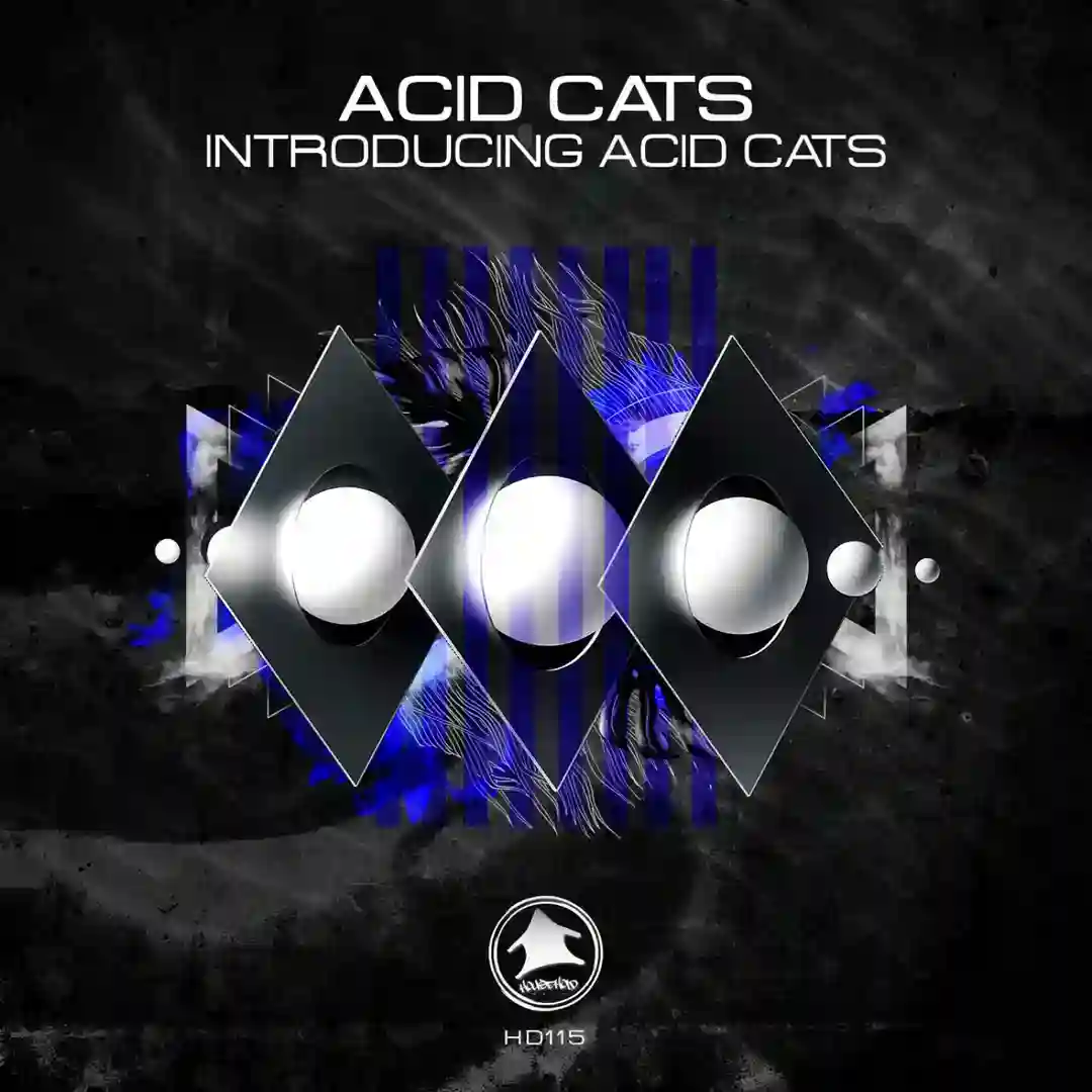 Introducing Acid Cats cover