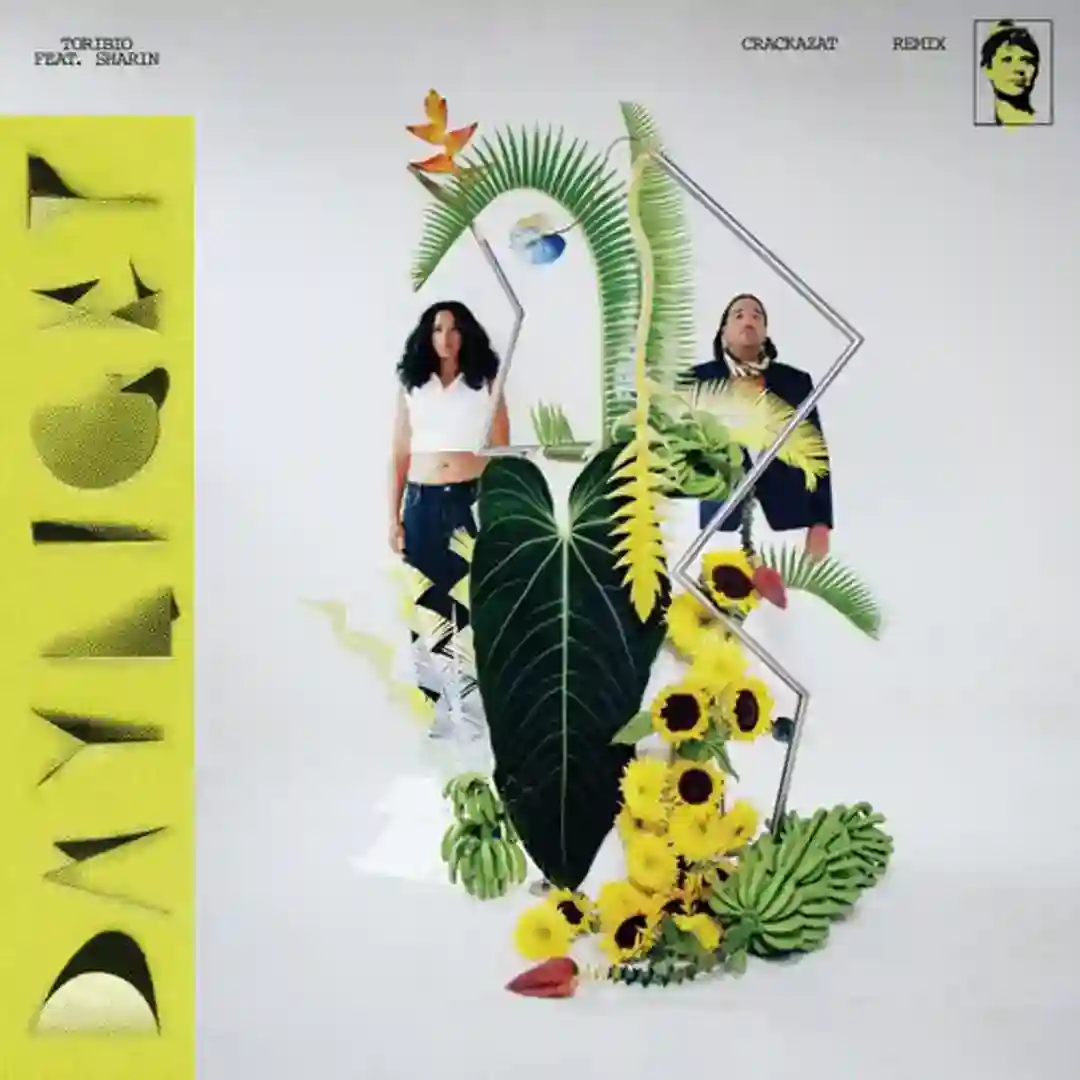 Daylight (Extended Alternate Mix) cover